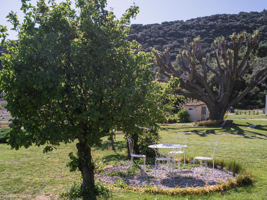 Le Mas De La Fontaine Bed & Breakfast Le Pegue Exterior photo